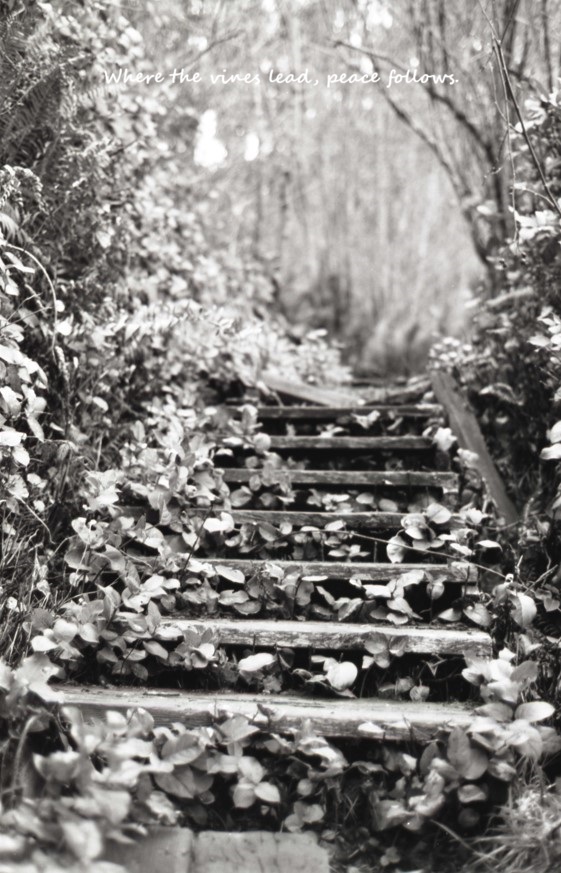 Black White Path
